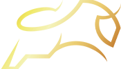 MorningBull Logo